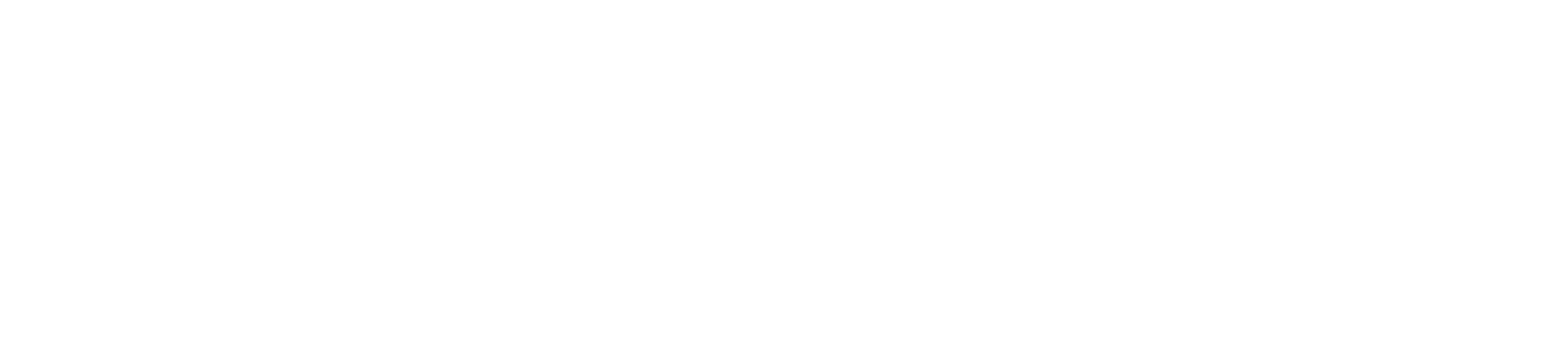 Logo Nokturne